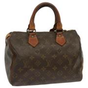 Louis Vuitton Vintage Pre-owned Canvas handvskor Brown, Dam