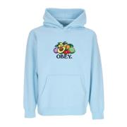 Obey Huvtröja fleece för basket i himmelsblå Blue, Herr