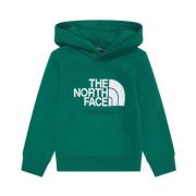 The North Face Grön Tröja Kollektion Green, Herr