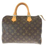 Louis Vuitton Vintage Pre-owned Canvas handvskor Brown, Dam