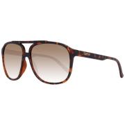 Guess Brun Herr Pilot Solglasögon Gradient Brown, Herr