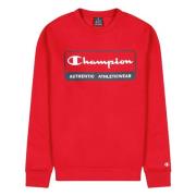 Champion Lätt Kraft Hoodie Red, Herr