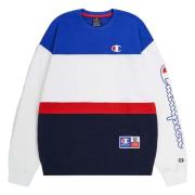 Champion Legacy Retro Sport Hoodie Multicolor, Herr