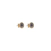 Marc Jacobs Ikoniska Medallion Studs Yellow, Dam