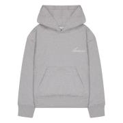 Laneus Hoodie Gray, Herr