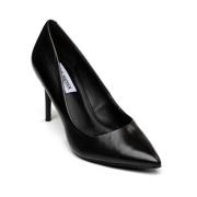 Steve Madden Svart Läder Lillie Pump - Basic Favorit Black, Dam