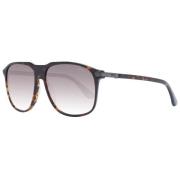 BMW Brun Aviator Solglasögon Gradient Linser Brown, Herr