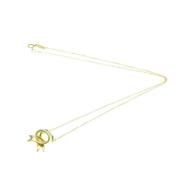 Tiffany & Co. Pre-owned Pre-owned Guld halsband Yellow, Dam