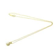 Tiffany & Co. Pre-owned Pre-owned Guld halsband Yellow, Dam