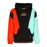 Puma Basketplan Tryck Hoodie Pullover Multicolor, Herr