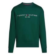 Tommy Hilfiger Hoodie Green, Herr