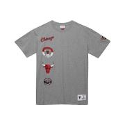 Mitchell & Ness Chicago Bulls City Collection Tee Gray, Herr