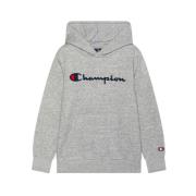 Champion Broderad Script Logo Hoodie Gray, Herr