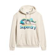 Superdry Grafisk huvtröja Regular Fit Stor ficka Beige, Herr