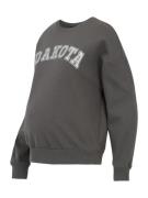 Sweatshirt 'OLMJOLANA'