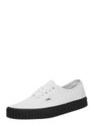 Låg sneaker 'Authentic Creeper'