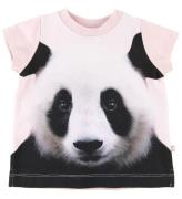 Molo T-shirt - Elly - Baby Pandis