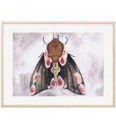Thats Mine Affisch - 30x40 - A Moth's Beauty