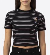 Dickies T-shirt - Cropped - Westover - Svart/Rosa randig