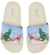 Molo Strandsandaler - Zhappy - Paradise Bird