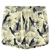 Name It Shorts - NkfVigga - Lemon