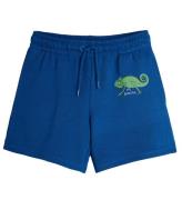 Mini Rodini Sweatshorts - Ã?dla - BlÃ¥