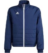 adidas Performance Vadderad jacka - ENT22 LJKTY - TENABL