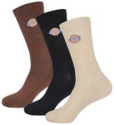 Dickies Strumpor - 3-pack - Valley Grove - Cappuccino