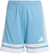 adidas Performance Sportshorts - SQUA25 - Tmlgbl/Vit