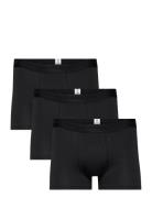 3-Pack Underwear - Gots/Vegan Black Knowledge Cotton Apparel