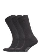 True Ankle Sock 3-Pack Grey Amanda Christensen