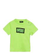 Tjustx62B T-Shirt Green Diesel