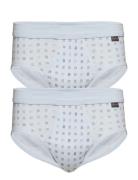 Sportsbrief White Schiesser