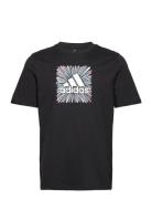 Sport Optimist Sun Logo Sportswear Graphic T-Shirt Black Adidas Perfor...