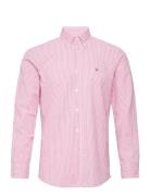 Seersucker Bd Shirt Pink Morris