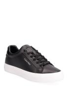 Vulc Lace Up Nano Fox-Lth Black Calvin Klein