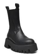 Obtain Bootie Black Steve Madden