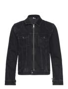 Blouson Black The Kooples