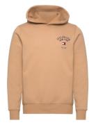Arched Varsity Hoody Beige Tommy Hilfiger