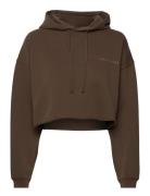 Pro Cropped Sweat Hoodie Brown H2O Fagerholt