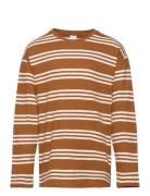 Top Ls Essential Stripe Brown Lindex