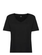 100% Cotton V-Neck T-Shirt Black Mango