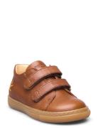 Shoes - Flat - With Velcro Brown ANGULUS