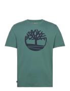 Kennebec River Tree Logo Short Sleeve Tee Sea Pine Green Timberland
