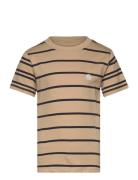 Kobdon S/S Tee Box Jrs Brown Kids Only