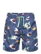 Swimshorts Aop Blue Lindex