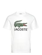 Tee-Shirt&Turtle Neck White Lacoste