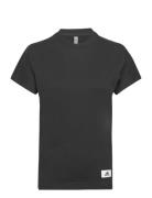 T-Shirt Black Adidas Sportswear