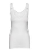 Top White Schiesser