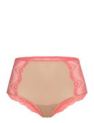 Lace Mesh Highwaist Briefs  Understatement Underwear